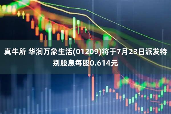 真牛所 华润万象生活(01209)将于7月23日派发特别股息每股0.614元