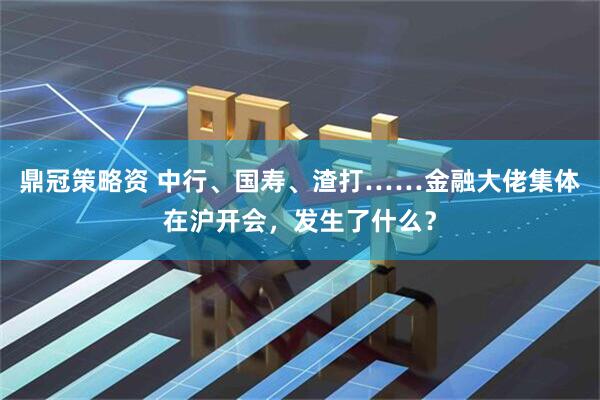 鼎冠策略资 中行、国寿、渣打……金融大佬集体在沪开会，发生了什么？
