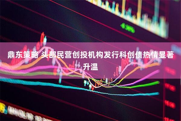 鼎东策略 头部民营创投机构发行科创债热情显著升温