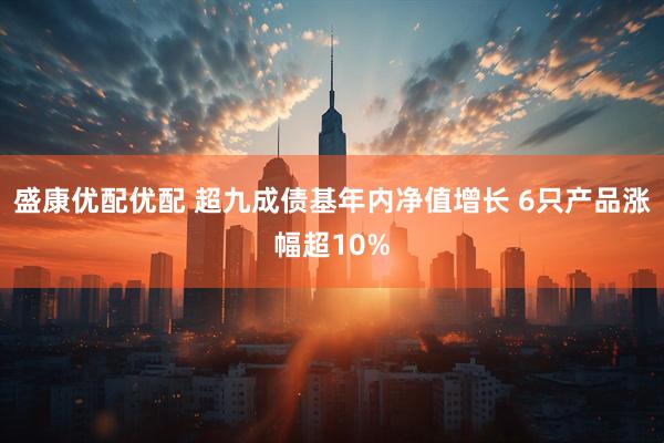 盛康优配优配 超九成债基年内净值增长 6只产品涨幅超10%