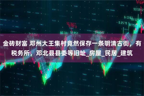 金砖财富 邓州大王集村竟然保存一条明清古街，有税务所，邓北县县委等旧址_房屋_民居_建筑