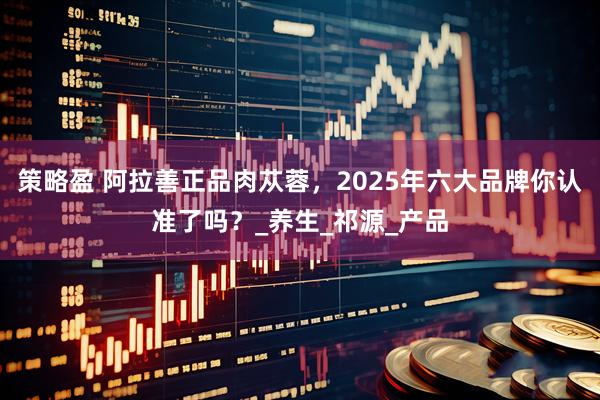 策略盈 阿拉善正品肉苁蓉，2025年六大品牌你认准了吗？_养生_祁源_产品
