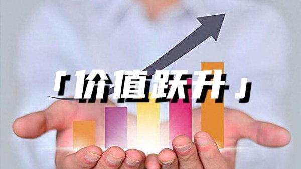 掌上乾坤 领跑者逻辑: 新华保险如何实现“价值+投资+生态”三线突围?