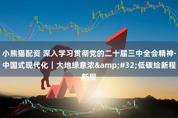 小熊猫配资 深入学习贯彻党的二十届三中全会精神·中国式现代化｜大地绿意浓&#32;低碳绘新程