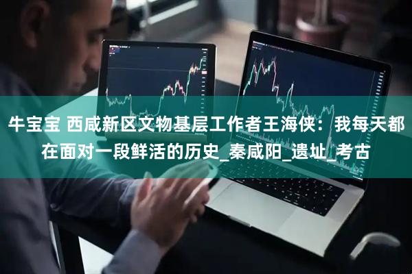 牛宝宝 西咸新区文物基层工作者王海侠：我每天都在面对一段鲜活的历史_秦咸阳_遗址_考古