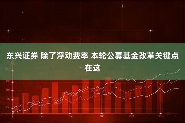 东兴证券 除了浮动费率 本轮公募基金改革关键点在这